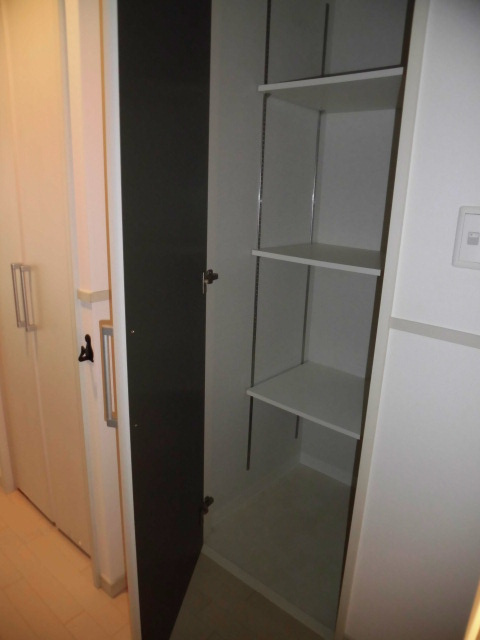 大阪市天王寺区筆ケ崎町の賃貸マンションの収納