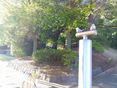 【周辺】 | 八王子パークヒル宇津木台1 1号棟(ハチオウジパークヒルウツギダイワンイチゴウトウ)