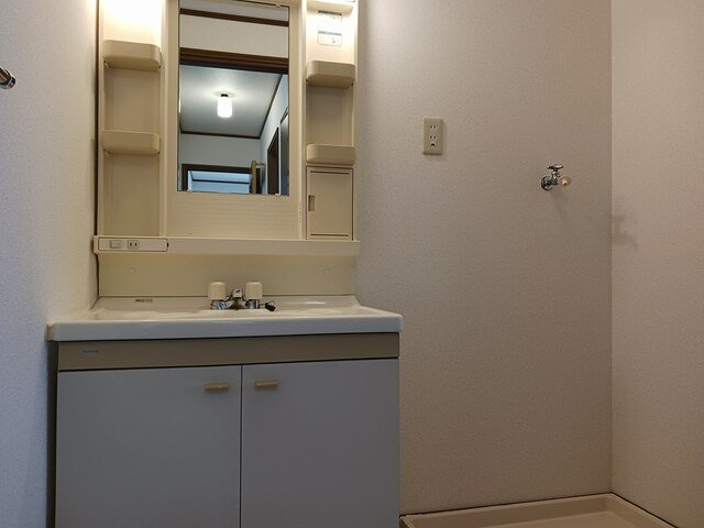 サン・ドミールＦの洗面所