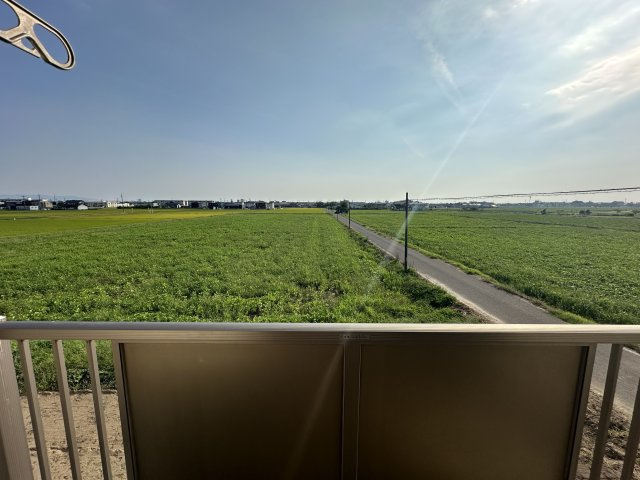 ソレイユハイヅの展望