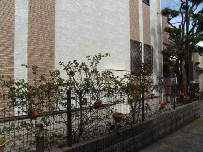 【その他】 | ヴィラ　ウェル