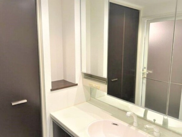 ライオンズセレブ富士見台壱番館の洗面所