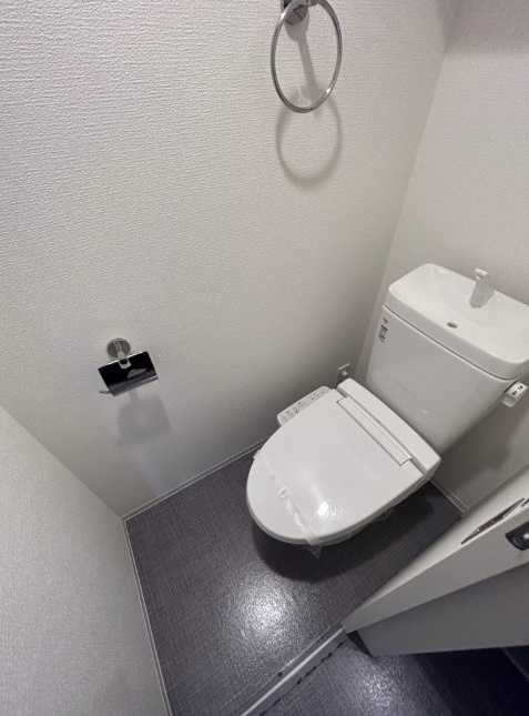 セレニテ中崎町リアンのトイレ