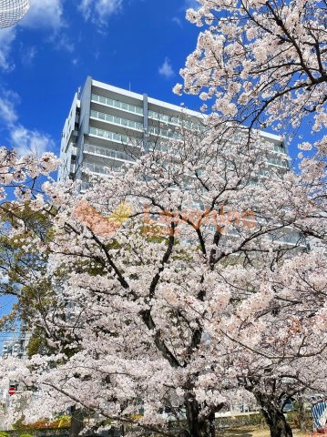 クラシオン小頭町公園前の外観|きれいな外観です