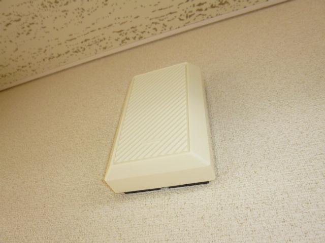 カーサレシェンテのセキュリティ