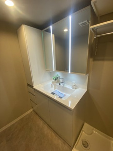 【独立洗面台】ダイアパレス自治医大３番館 