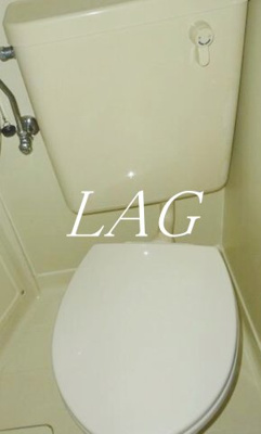 【トイレ】 | ドム登戸Ⅱ  | トイレです。