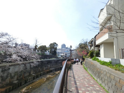 【前面道路含む現地写真】 | 【弊社管理物件】北区滝野川４丁目中古一戸建て
