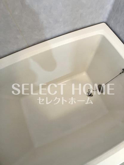  | グリーンヒル光