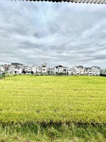 田井町一戸建の展望