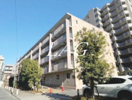 セレリーオ・ニッコーの画像