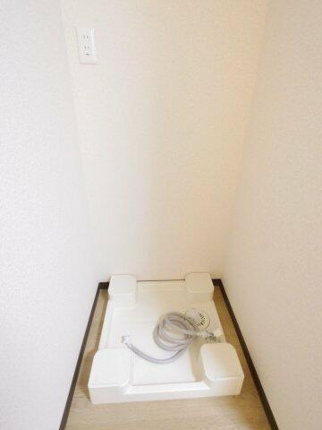 参考写真