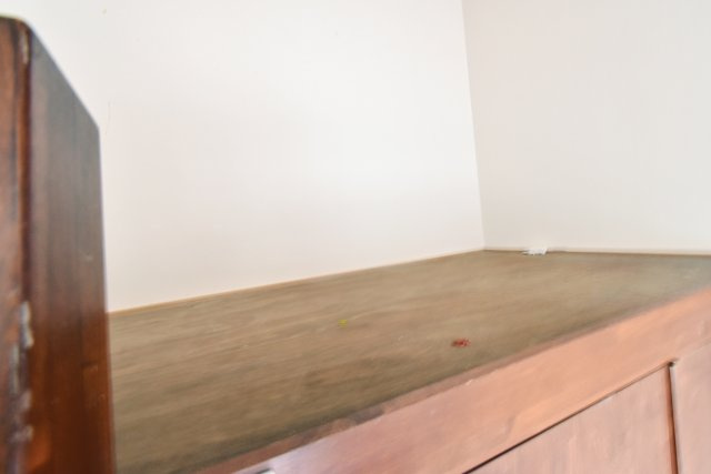 ベルファーム甲子園の収納|洋室上部　3階303号室別部屋イメージ