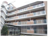 マーサ池上の画像