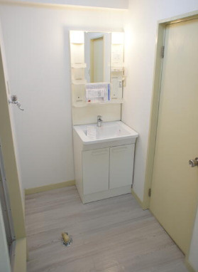 シャトレ北川の洗面所