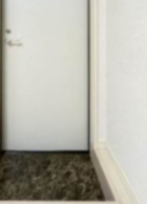 【玄関】 | グランデシャンテ池袋 | 玄関☆(同一仕様写真)