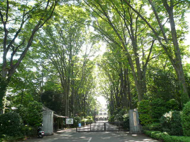 国立東京農工大学農学部まで950m