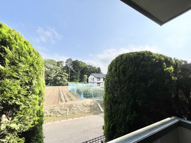 ノーベルパーク15の展望