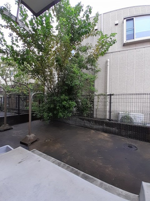 【展望】 | メゾンド・デスパシオ