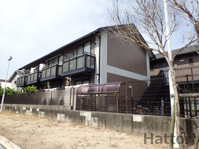 サロットアミーチ