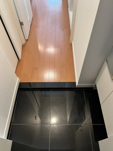 ヴィーダ文京関口の玄関