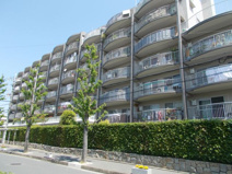 さんくれーる茨木C棟の画像