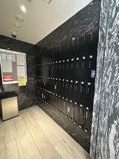 S-RESIDENCE江坂Alegriaのその他共用部分