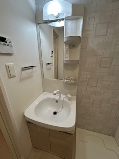 S-RESIDENCE江坂Alegriaの独立洗面台|独立洗面台です