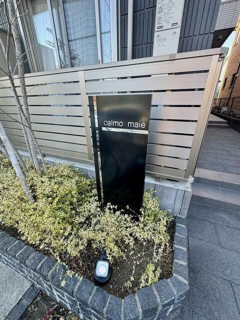 Ｃａｌｍｏ　ｍａｌｅの外観