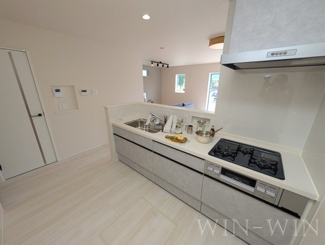 多米中町戸建貸家 1のキッチン