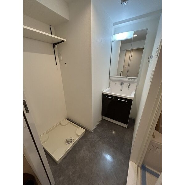 Live Flat塚本新北野の洗面所