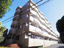 Ｃａｌｍ・Ｈｉｌｌｓの画像