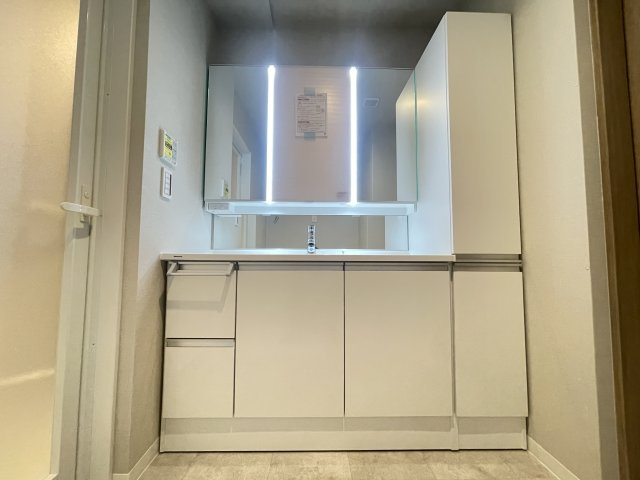 ロイヤルメドゥ香里園タワーの洗面所