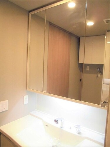 ワコーレフェリズ西岡本の洗面所|洗面化粧台