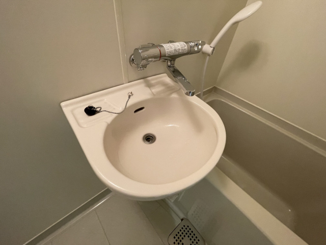 ヴィラ芦屋川の洗面所