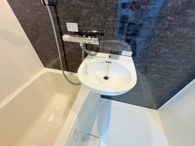 ヴィラ芦屋川の洗面所