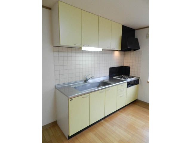 ベルシーヌ美園のキッチン