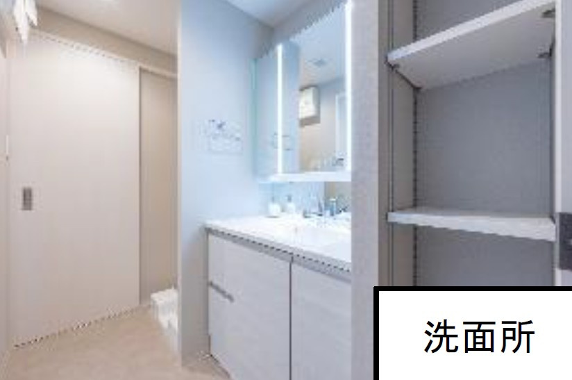 ライフピア新越谷IIアーバンアクシスの洗面所