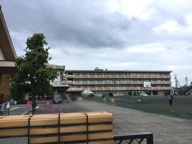 ハイツシュンのその他|小信中島小学校 0.8km