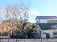 正面