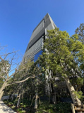 ブランズタワー豊洲の画像