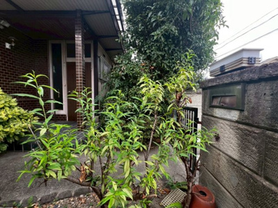 【その他】 | 高尾２丁　売土地 | 現地見学当日から承っております♪現地周辺の環境や、駅までの道お家探しを始めてみようと思われたら是非【イエストア】までお気軽にご相談下さいませ♪