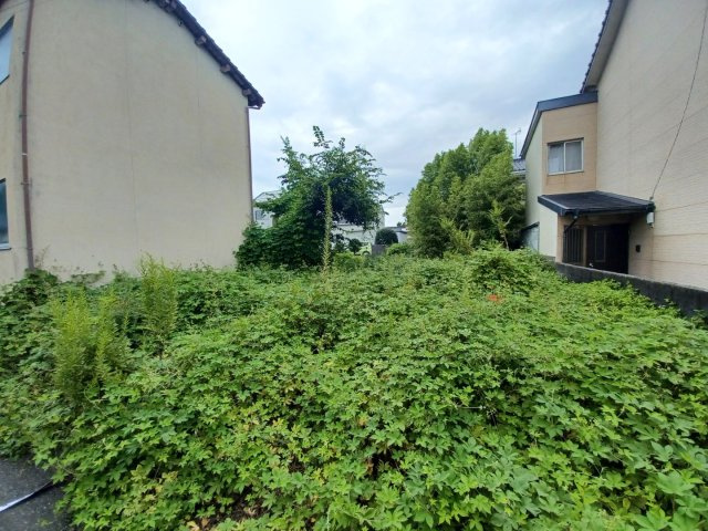 (売地)不知火町高良　上田様の周辺