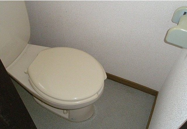 グリーンコーポのトイレ|落ち着いたトイレです