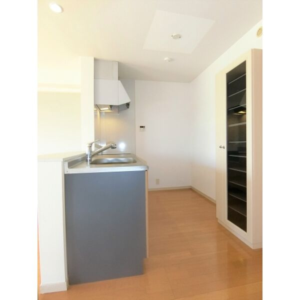 サン・グリーンのキッチン|使い勝手の良いカウンターキッチン♪