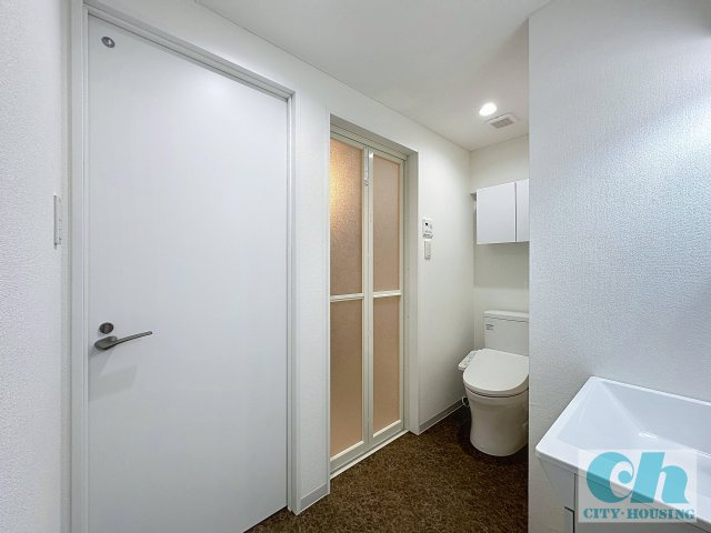 ドミールシバタ 307号室の洗面所