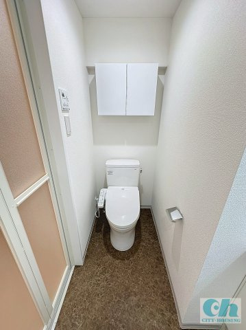 ドミールシバタ 307号室のトイレ