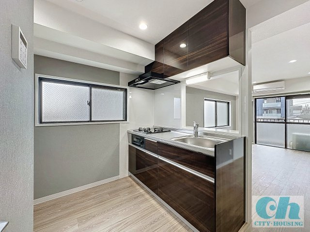 ドミールシバタ 307号室のキッチン