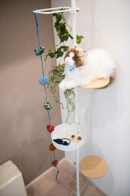 クレヴィアリグゼ西馬込のその他