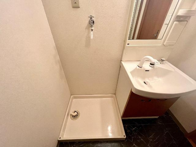 メゾン・シーティアの洗面所|室内洗濯機置き場